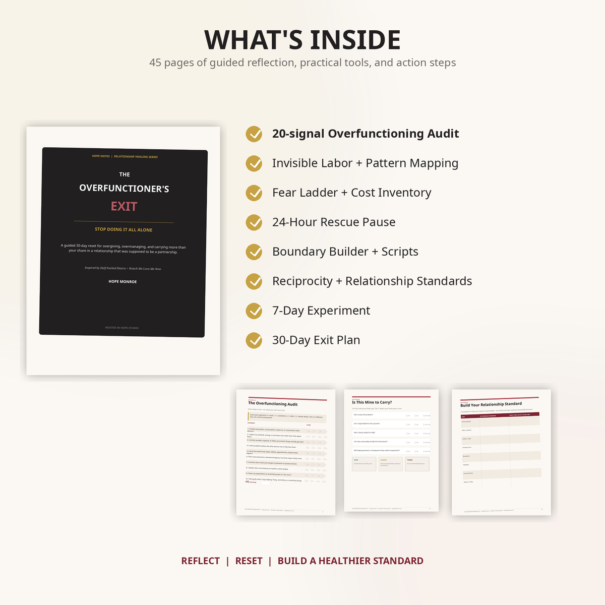 What's inside The Overfunctioner's Exit workbook