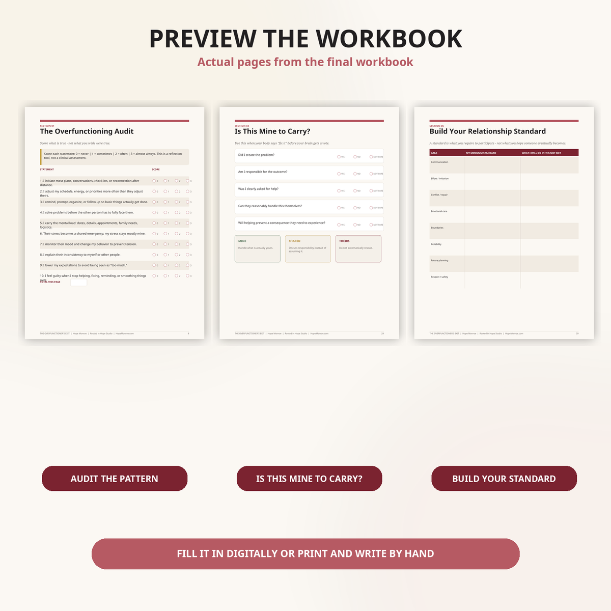 Preview pages from The Overfunctioner's Exit workbook